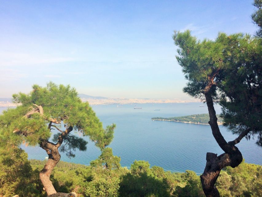 Istanbul: Day Trip to the Princes' Islands - Key things to know before you go to Büyükada