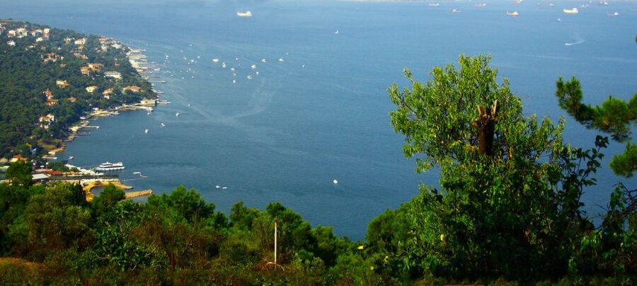 Istanbul: Day Trip to the Princes' Islands - Büyükada walking tour, bay views, and the famous summer houses