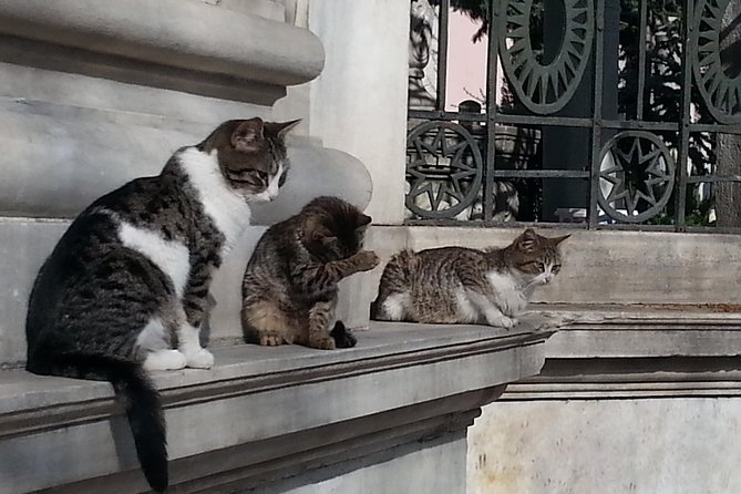 Istanbul Delights: A Journey Through Flavor and History - Hippodrome stop: you will recognize the monuments even if you forget the dates