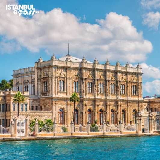 Istanbul: Dolmabahce Palace & Harem Skip-the-Line Entry - Walking the palace at your own pace: what you will notice room to room