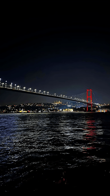 Istanbul: Exclusive Istanbul Night Tour with Private VIP Car - Languages, Group Size, and Who This Fits Best