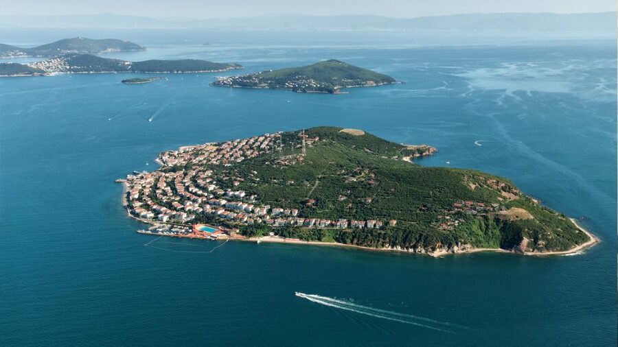 Istanbul: Full Day Princes Islands Guided Tour with Lunch - Who Should Book This Princes Islands Tour