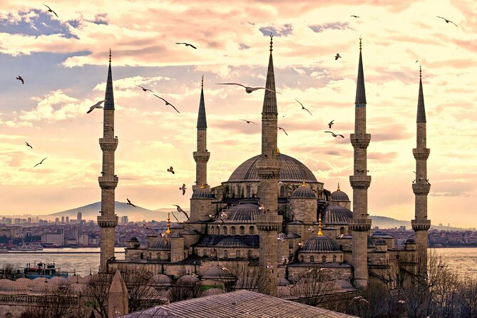 Istanbul Full day Private English Guided Old City Tour - How This 7-Hour Old City Plan Works for Real People