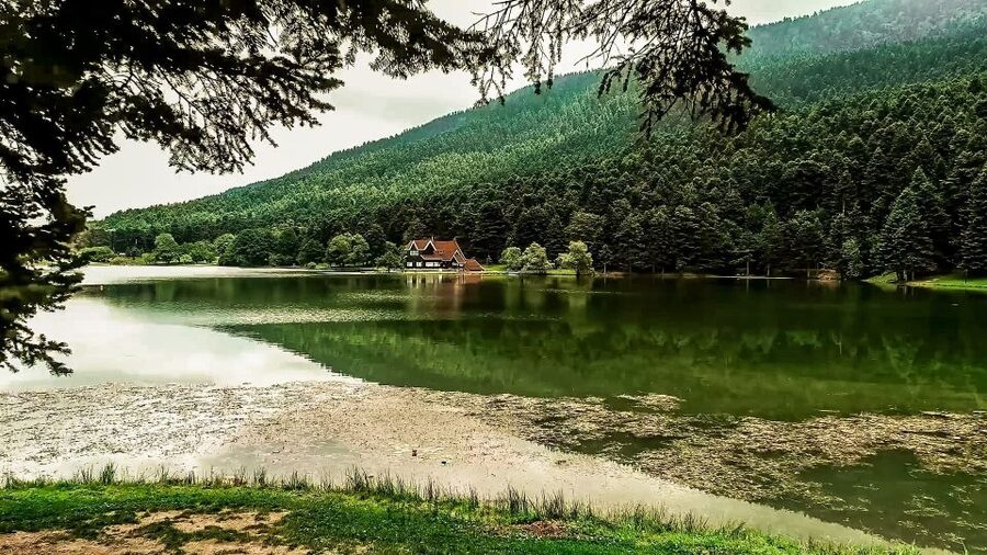 Istanbul: Full-Day Sapanca Lake and Masukiye Tour with Lunch - How This Day Trip Works: Istanbul Pickup to Late Return