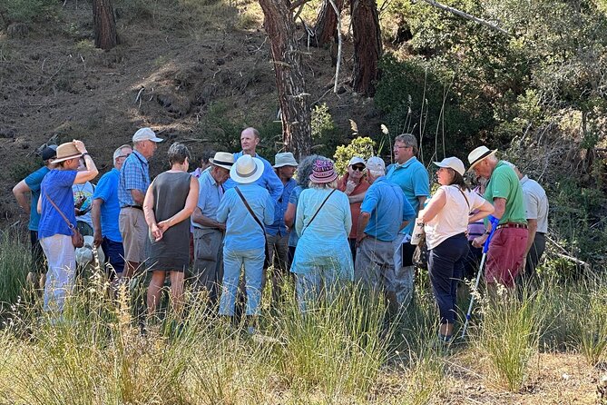 Istanbul Gallipoli Experienced Daily Tour - Kabatepe War Museum and Beach Cemetery: where the tone shifts