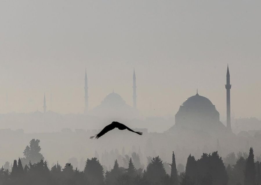 Istanbul: Hagia Sophia, Blue Mosque, Cistern & Bazaar Tour - Blue Mosque: what to look for beyond the postcard photos