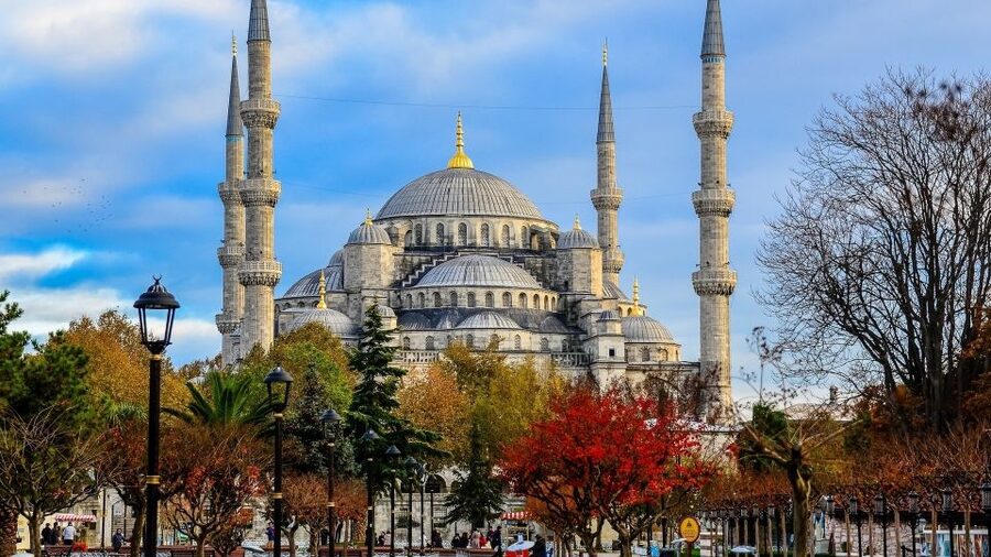 Istanbul: Half Day Morning Walking Tour - Sultanahmet on Foot: What a 3-Hour Morning Does Best