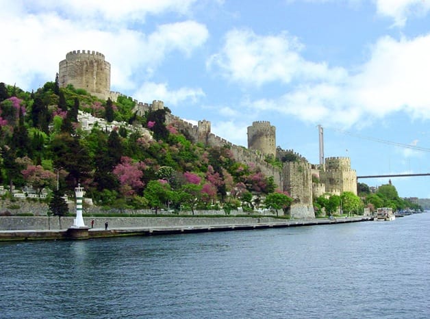 Istanbul Half-Day Tour and Bosphorus Cruise - Key Things That Make This Tour Worth Your Time