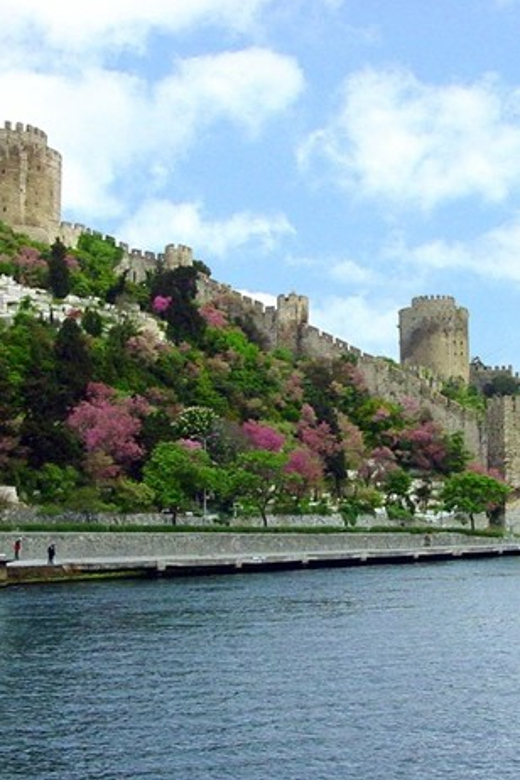 Istanbul Half-Day Tour and Bosphorus Cruise - Hotel Pickup and Transfers: How This Stays Low-Stress