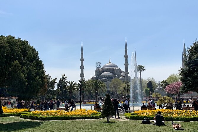 Istanbul Highlights from Cruise Pier with Skip-the-Ticket-Line - From Cruise Pier to Sultanahmet: How the Tram Plan Works