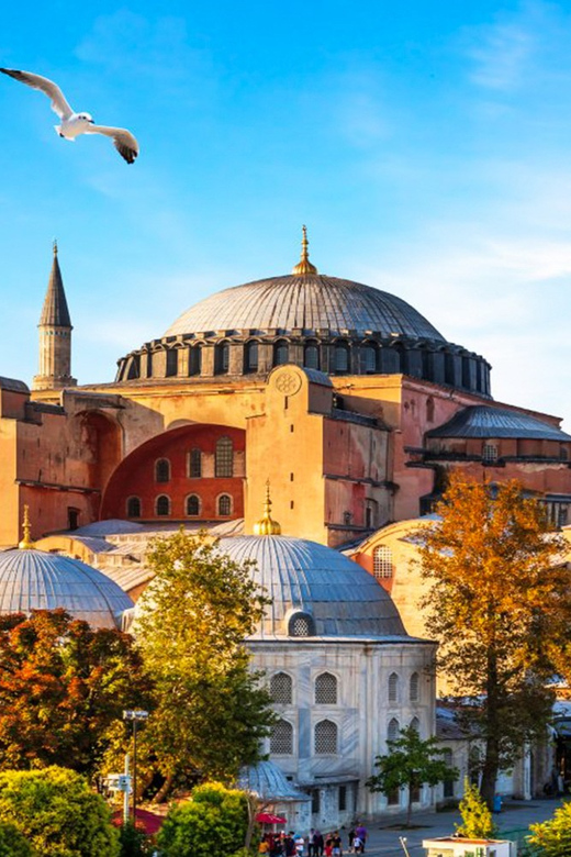 Istanbul: Old City Full-Day Tour -(Entry Fees Inculucing) - Topkapı Palace: included highlights plus the extra-fee reality