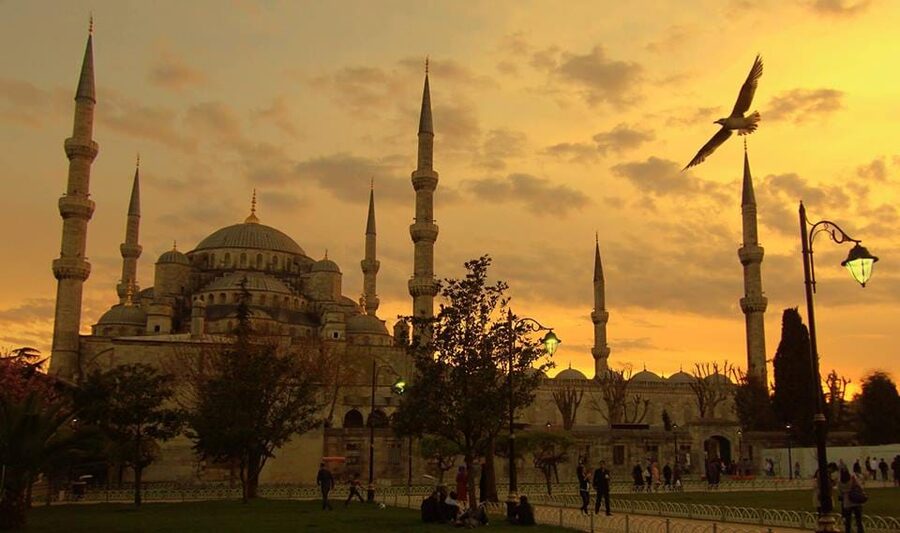 Istanbul: Old City Full-Day Tour -(Entry Fees Inculucing) - Lunch, walking comfort, and the little things that affect your day