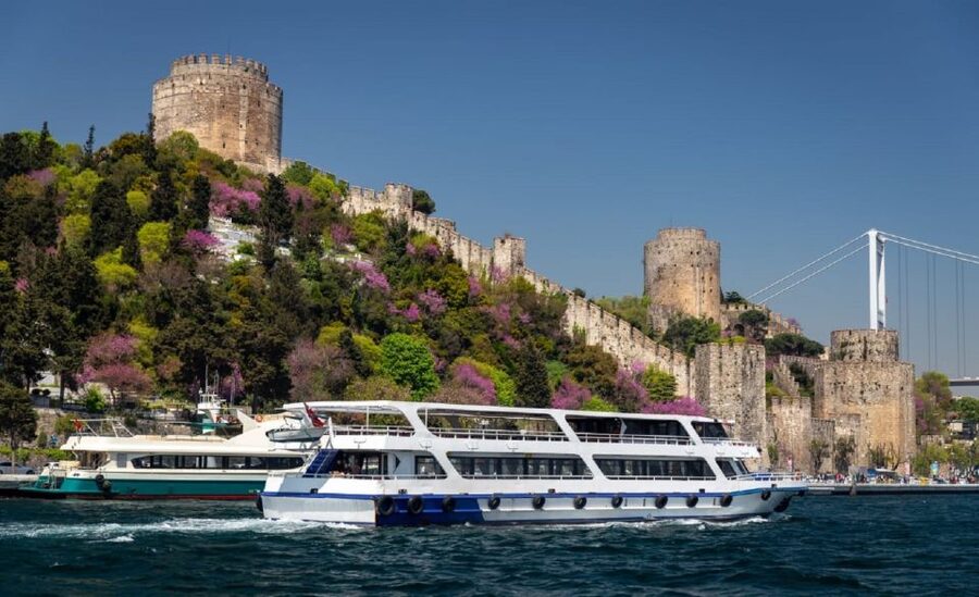 Istanbul: Old Town Tour and Bosphorus Lunch Cruise - Should you book Istanbul Clue Old Town and Bosphorus yacht lunch?