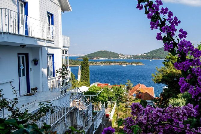 Istanbul Princes Island Tour with Lunch & Hotel Transfer - Price and logistics: where the $29.42 value really comes from