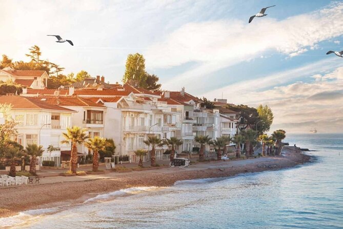 Istanbul Princes’ Islands Boat Trip with Lunch - Sailing the Bosphorus canal: the landmarks you actually see from the water