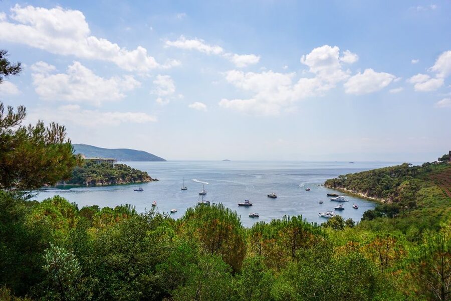 Istanbul: Princes' Islands Cruise w/Music, Lunch & Transfer - Kınalıada walking tour: short guidance, then your own pace