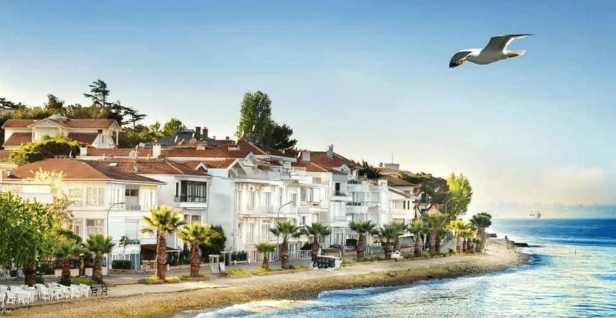 Istanbul: Princes Islands Tour with Heybeliada and Buyukada - Practical tips to make your day smoother