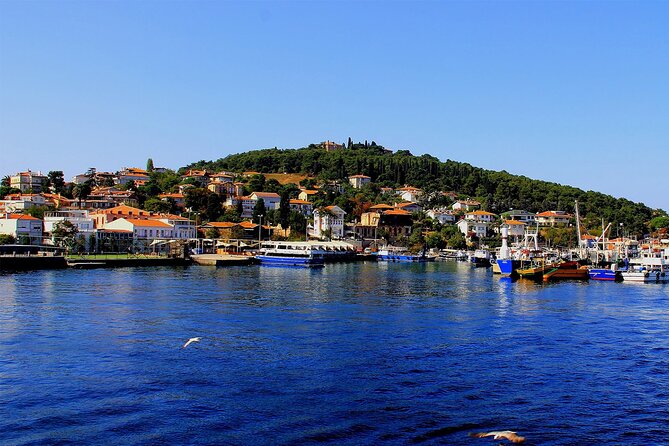 Istanbul: Princes Islands Tour with Heybeliada and Buyukada - Büyükada: mansions, viewpoints, and how to spend 3 hours well