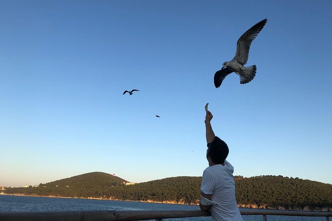 Istanbul: Princes Islands Tour with Heybeliada and Buyukada - The ride back: music, dancing, and a tired-smiling kind of end
