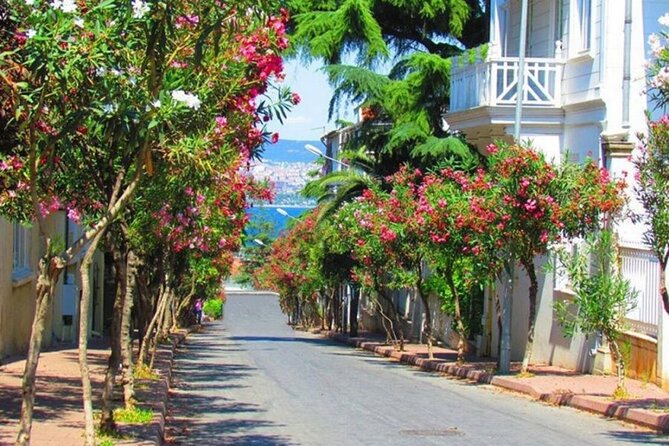 Istanbul: Princes Islands Tour with Heybeliada and Buyukada - Price and logistics: why this feels like a smart budget day trip