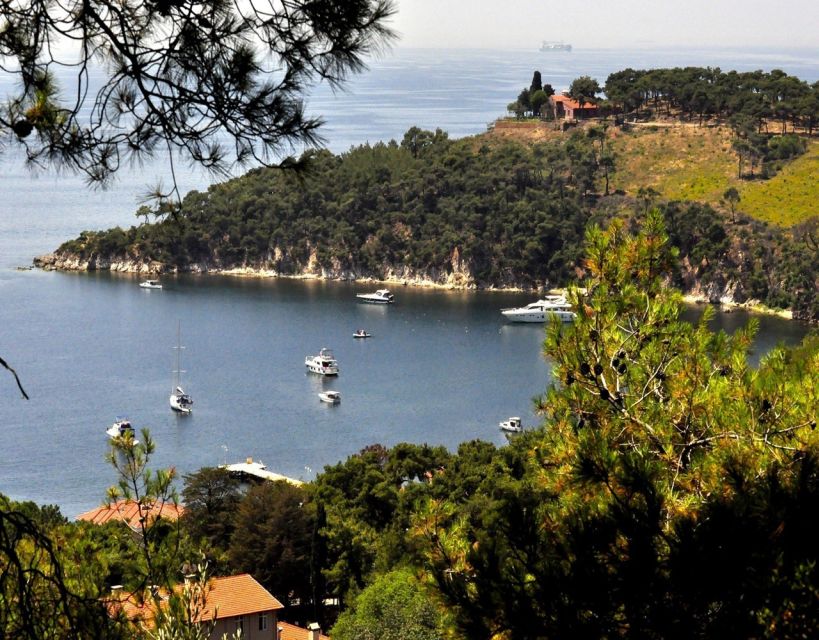 Istanbul: Princes' Islands Tour with Lunch and Transfers - The return trip: music, dancing, and the end-of-day surprise
