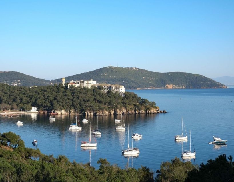 Istanbul: Princes' Islands Tour with Lunch and Transfers - Who this Princes’ Islands trip fits best