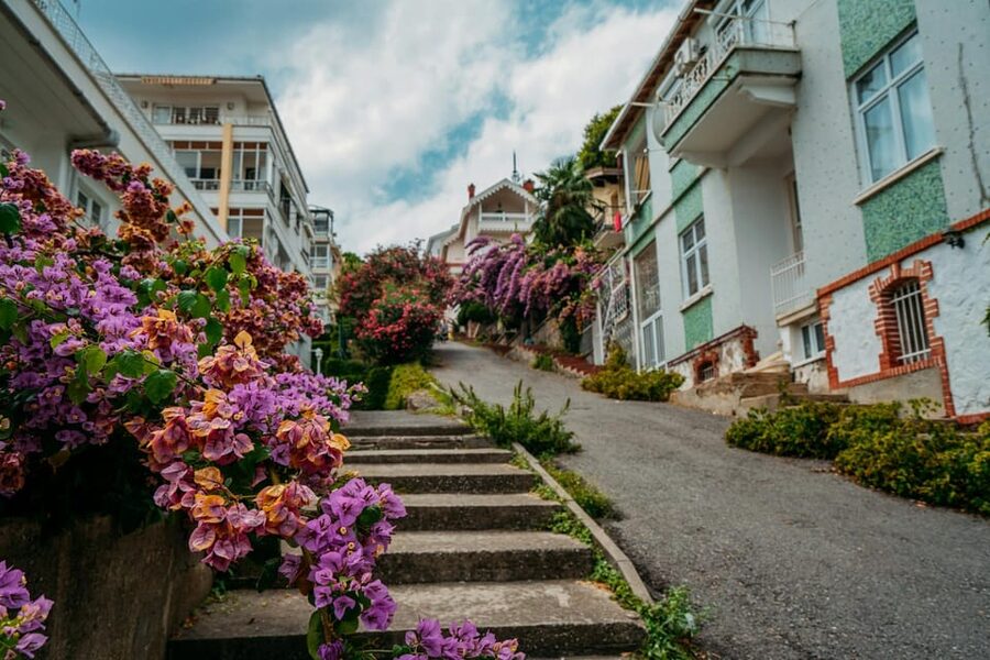 Istanbul: Princes Islands Walking Full-Day Tour - Key highlights worth planning for