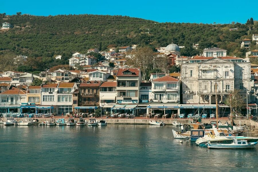 Istanbul: Princes Islands Walking Full-Day Tour - A Bosphorus Strait cruise that actually sets the mood
