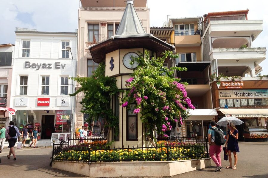 Istanbul: Princes Islands Walking Full-Day Tour - Guides make or break the experience