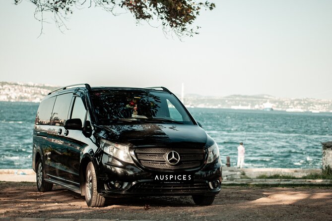 Istanbul Private Airport Transfers - Getting through the airport with VIP meet-and-greet and fast track support