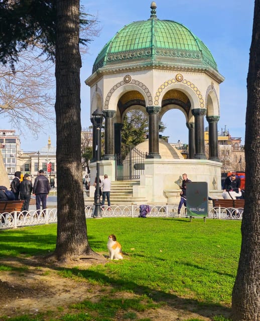 Istanbul Private City Tour By Art Historian - Hagia Sophia and the “choose-your-own” Istanbul strategy