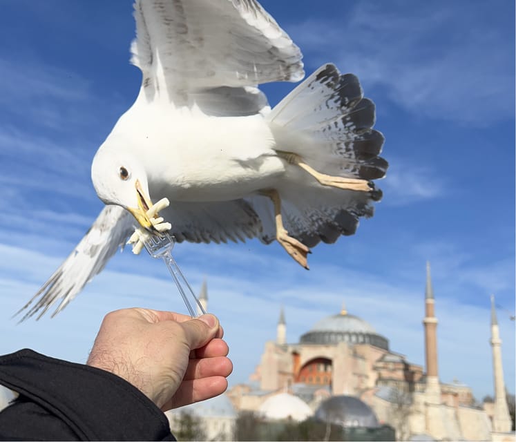 Istanbul: Private City Tour with Transportation - How skip-the-line ticket help changes your day