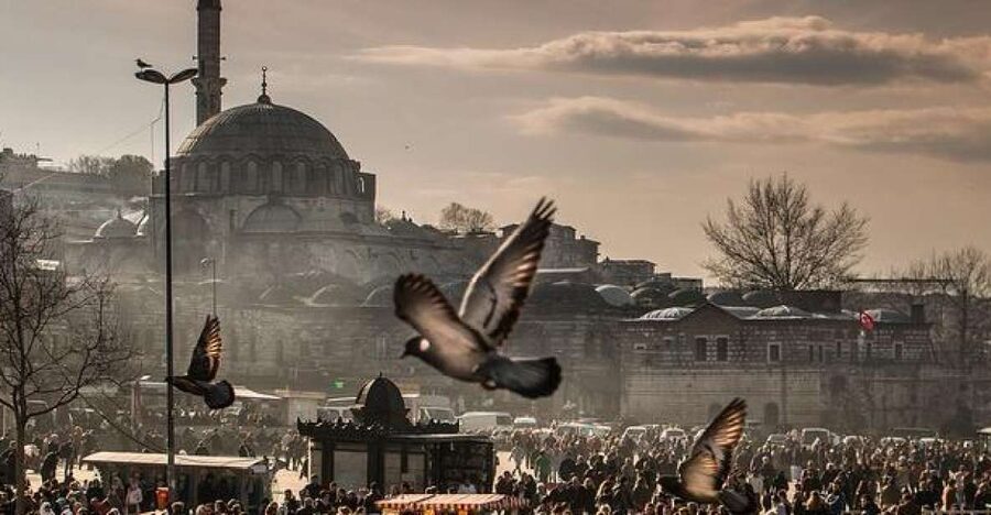Istanbul: Private Full-Day Old City Highlights Tour - Pickup, drop-off, and how to avoid wasting time