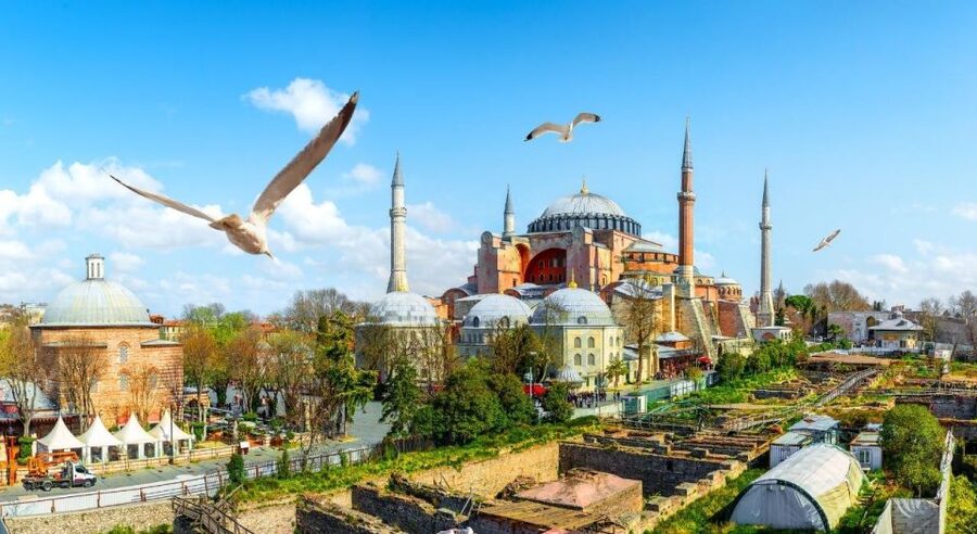 Istanbul: Private Guided Walking Tour - Blue Mosque and Hagia Sophia: tilework, design, and meaning