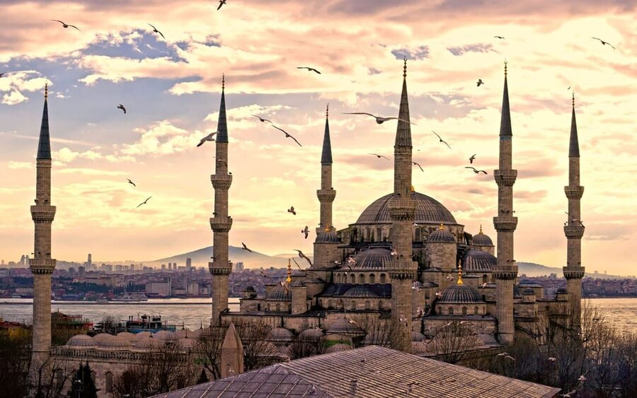 Istanbul: Private Old City Tour with Bosphorus Cruise - Skip-the-line help: small time saver, big day impact