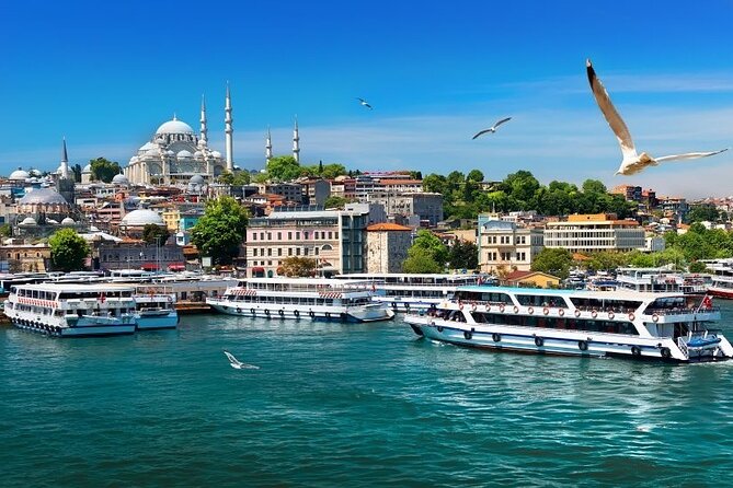 Istanbul Private Tour from Cruise Port - Price and Value: Is $105 Fair for This Istanbul Package?