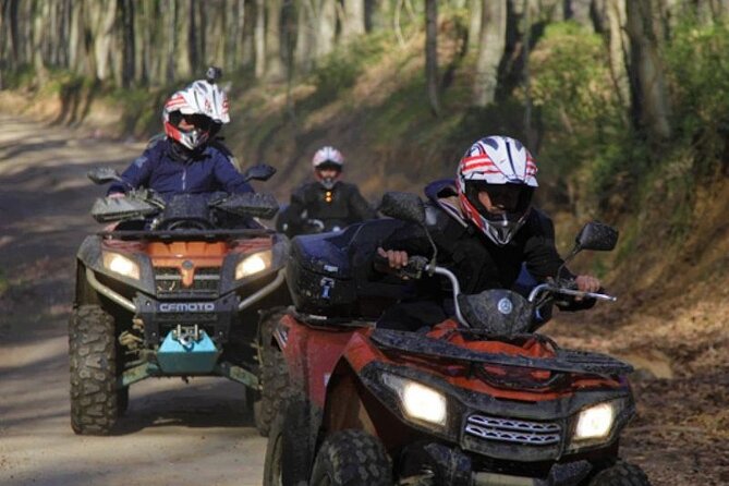 Istanbul Quad Bike Safari with Optional Zipline Experience - Belgrad Forest ATV safari: a short ride to a totally different Istanbul