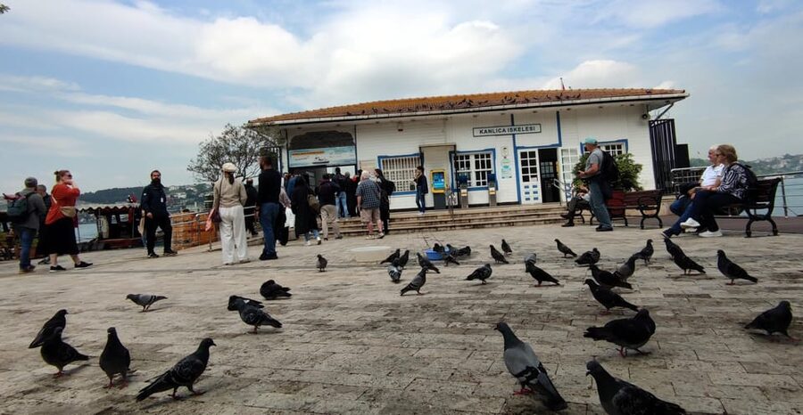 Istanbul Revealed: Historic Pathways and Bosphorus Serenity - Should You Book Istanbul Revealed?