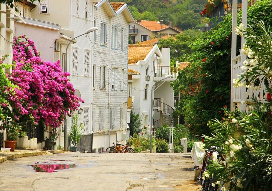 Istanbul: Round-Trip Ferry Tickets to the Princes' Islands - Büyükada arrival: how to start your island day the easy way