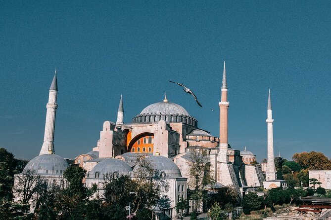 Istanbul Shore Excursion by TRAM: Half Day Private Tour from Port - Blue Mosque and the Pottery Demonstration: Ottoman Beauty With a Hands-On Moment