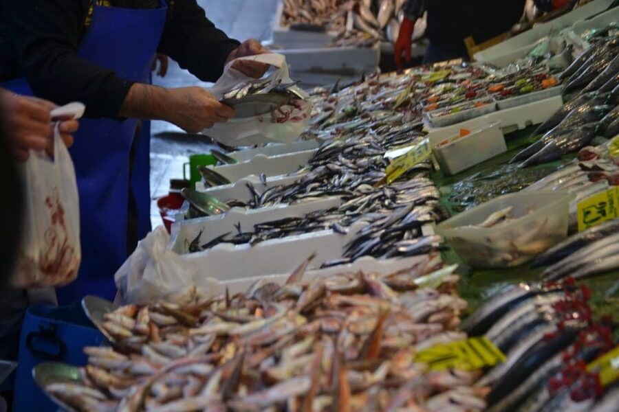Istanbul: Turkish Food Tour in Kadikoy Across the Bosphorus - Who this Kadıköy food tour suits best