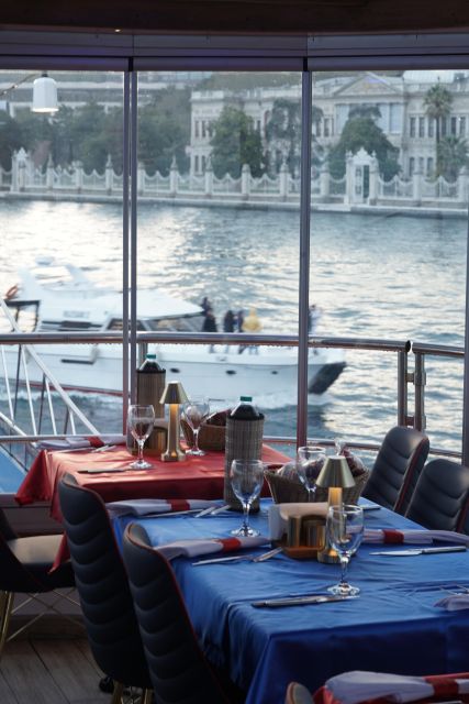 Istanbul: Turkish Night on the Bosphorus Dinner Cruise - Who should book this cruise, and who should skip it