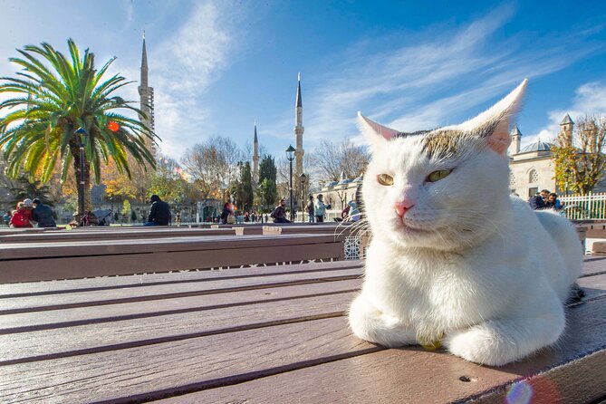 Istanbul Walking Tour with Audioguide on Your Smartphone - Topkapi Palace area: Tower of Justice and Hagia Irene