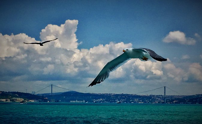 Luxury Private and Guided Istanbul Food Tour with a local guide - Ferry to Karakoy, Then Your Choice of Turkish Food