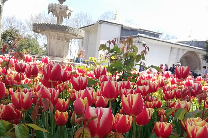 Most famous sites of Istanbul - The Route in 5 Hours, Blue Mosque Through the Grand Bazaar