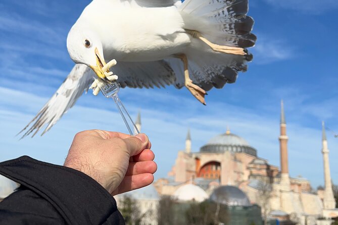 Multi 2 Days Private Guided Istanbul Iconic Landmarks City Tour - Walking stamina, mosque etiquette, and pacing tips that keep day 1 enjoyable