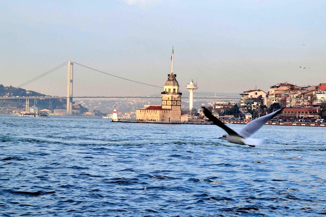 Panoramic City Tour with Bosphorus Strait Sightseeing Cruise - Rumeli Fortress and Royal Yıldız Gardens From the Water