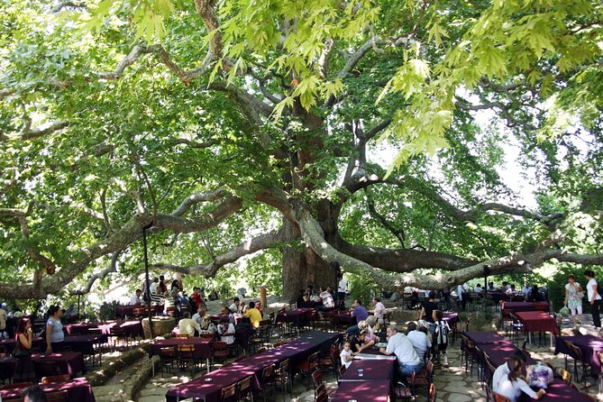 Premium Bursa and Uludag Tour - (Breakfast-Lunch Included) - Saitabat waterfall and a jam factory stop for quick sensory breaks