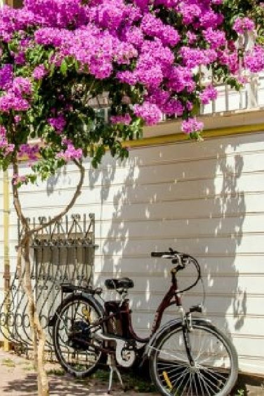 Prince's Island Group Tour - Heybeliada stop: photos, guided walk, and beach-ready freedom
