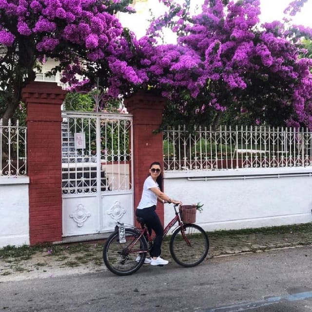 Prince's Island Group Tour - Büyükada exploration with a bike component and an optional electric buggy